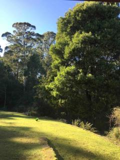 Cabin with gorgeous views close to Deloraine - 4