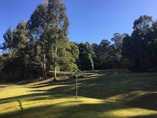 Cabin with gorgeous views close to Deloraine - 3