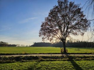Vakantiewoning Uutbloazen - 3