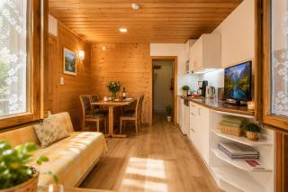 Ferienwohnung in Itter bei Ellmau SkiWelt Wilder Kaiser Kitzbüheler Alpen ITD100 by FeWo-Plan - 2