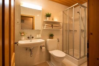 Ferienwohnung in Itter bei Ellmau SkiWelt Wilder Kaiser Kitzbüheler Alpen ITD100 by FeWo-Plan - 3