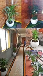 Hotel Rodali Residency - 3