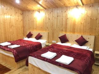 The Vedic Himalaya Retreat - 5