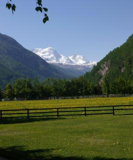 Kleine gemütliche Lodge mit Pool & Alpenpanorama - 7