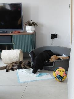 Cozy Retreat in Fareham - 2