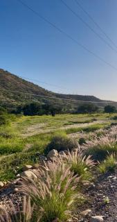 imiwadarhome - 3