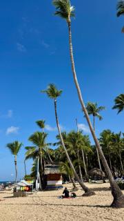Laguna Beach 406 4 Min Walk to Playa Dominicus - 9