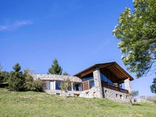 Chalet d'architecte calme à La Rosière avec garage - FR-1-690-36 - 1