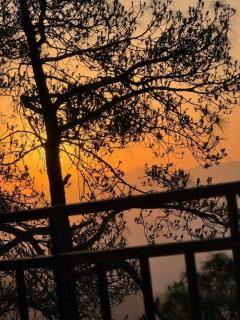 The Kalindi's Resort, Almora - 6