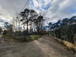 Quiet house - 8