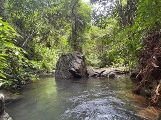 Hornbills Garden - 8
