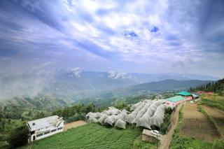 Valley Vista Rooms l Restaurant and Cafe l Forest Treks l Kufri by Exotic Stays - 3