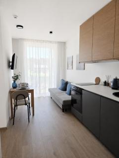 Mėlyna kopa - studio apartment with pool - 1