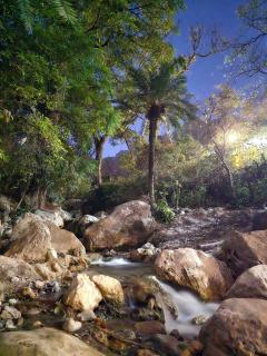 Tapovan Mountain Retreat - 4