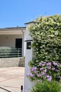 Dream's Rooms Salemi - 5