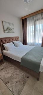 Apartman Kristal, Vrnjačka Banja - 8