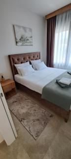 Apartman Kristal, Vrnjačka Banja - 9
