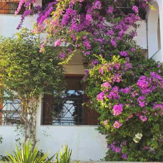 Marmari Sunset View - 5