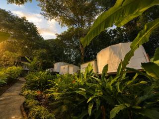 Vanara Bungalows - 7