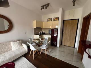 Sunny Olive Studio - 2