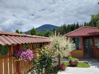 Guest House Stoletnika - 1