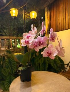 TRR3 Apt near Beach with Fine Cuisine & Pool - 1