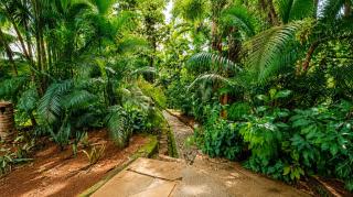 Serendip Goa - 2