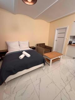 D'Ali apartamenty w centrum Poznania - 1