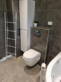 Modern Basement Apartment with Huge Terrace, Great View from it and Free Parking - 7