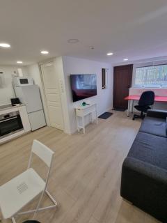 Modern Basement Apartment with Huge Terrace, Great View from it and Free Parking - 4