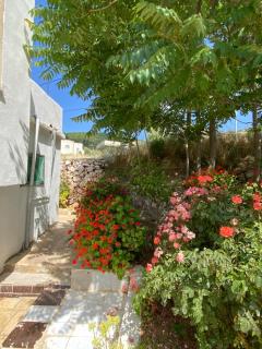 Featured House Furnished Independent for Rent - 8