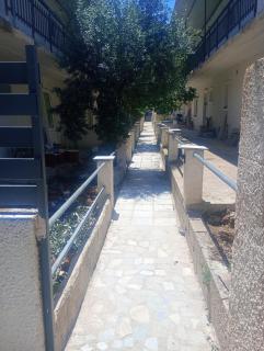 Rallis village - 1