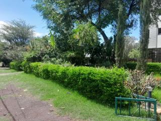 MK Hotel Hawassa - 4