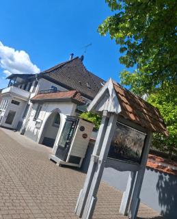 Hotel Maxsoyi - 8