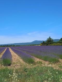 chambre d'hôtes chaleureuse en Drôme Provençale - 4