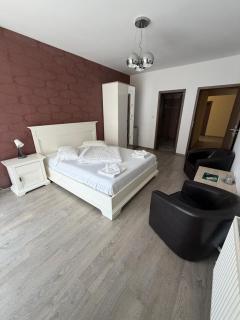 Casa Golopența - Băile Herculane - 9