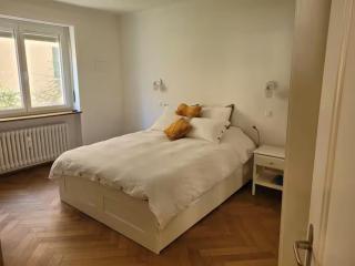 Bright, large apartment close to SBB with garage - 1