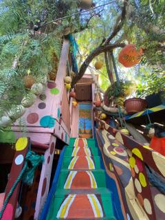 Adam's Tree House - 9