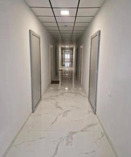 Alvina complex - 8