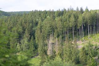 Chalet Eichenpanorama - Suhl - 7