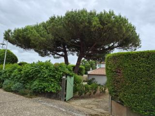 La petite Grange - 9