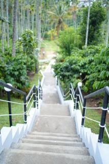 Orchid Villa by Palmgrove Retreat Properties - 2