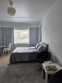 Central Accommodation at Olavinkatu - 5