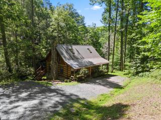 Mountaineer Manor - Sugar Grove - 4