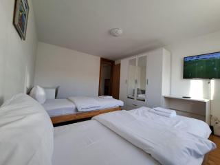 Aleksandar apartmani - 3