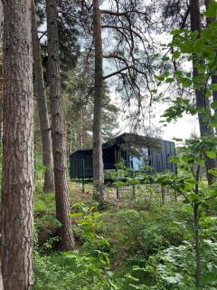 Connect Cabin - Bungalow Brasov, jacuzzi & forest view - 9
