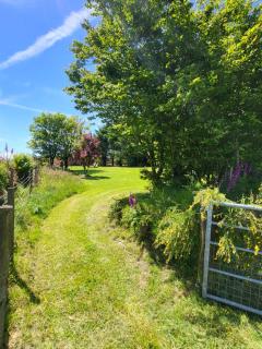Gwelfryn Cabin - 4