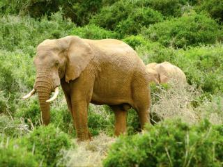 Addo African Home - 3