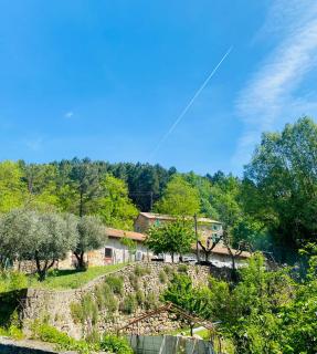 Le cadeau bleu, duplex en Cévennes - 8