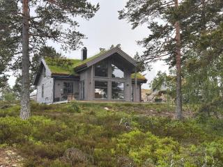 Moderne Fjellhytte Gautefall med Utsikt - 0
